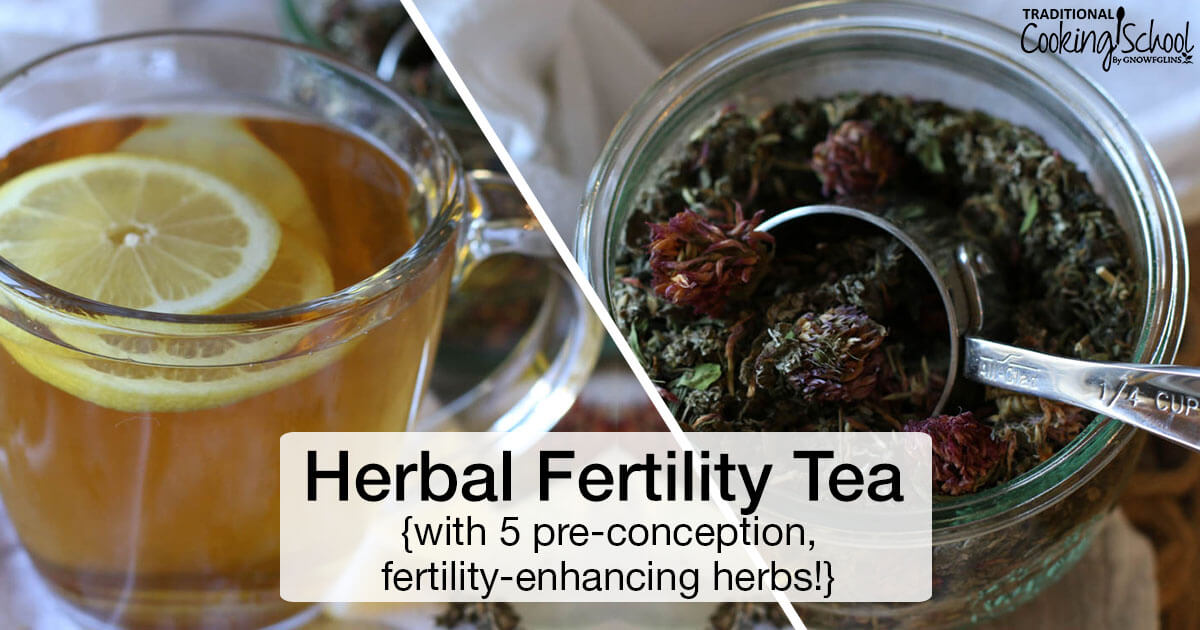 Herbal Fertility Tea {with 5 pre-conception, fertility-enhancing herbs!}