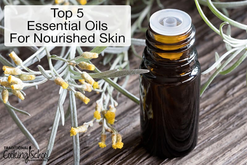 helichrysum flowers and essential oil