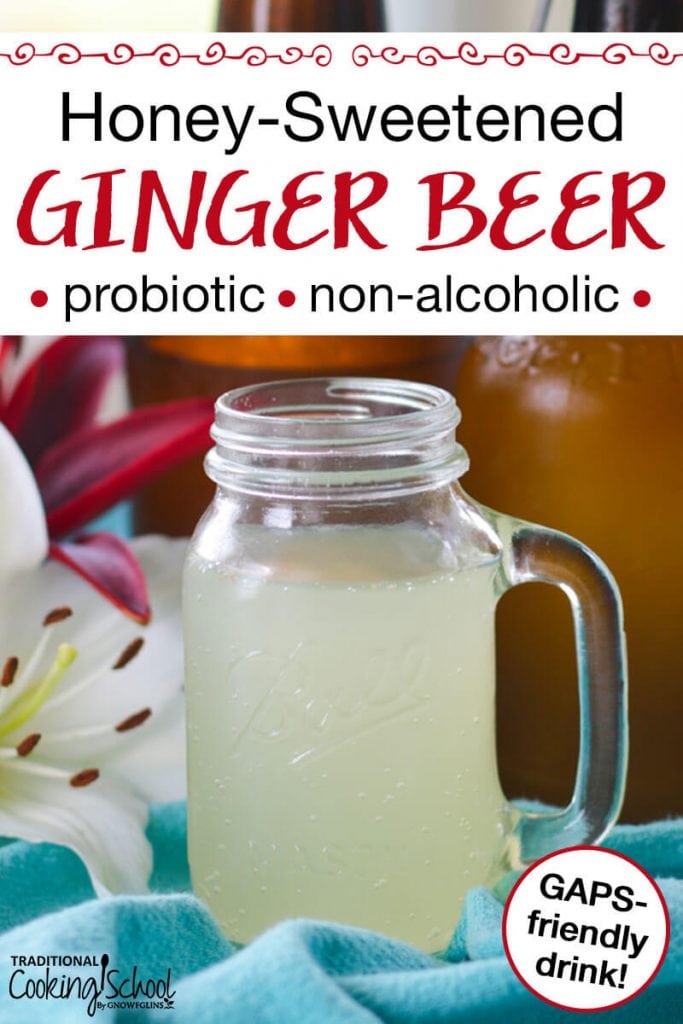 Honey-Sweetened Ginger Beer {probiotic, GAPS-friendly natural soda!}