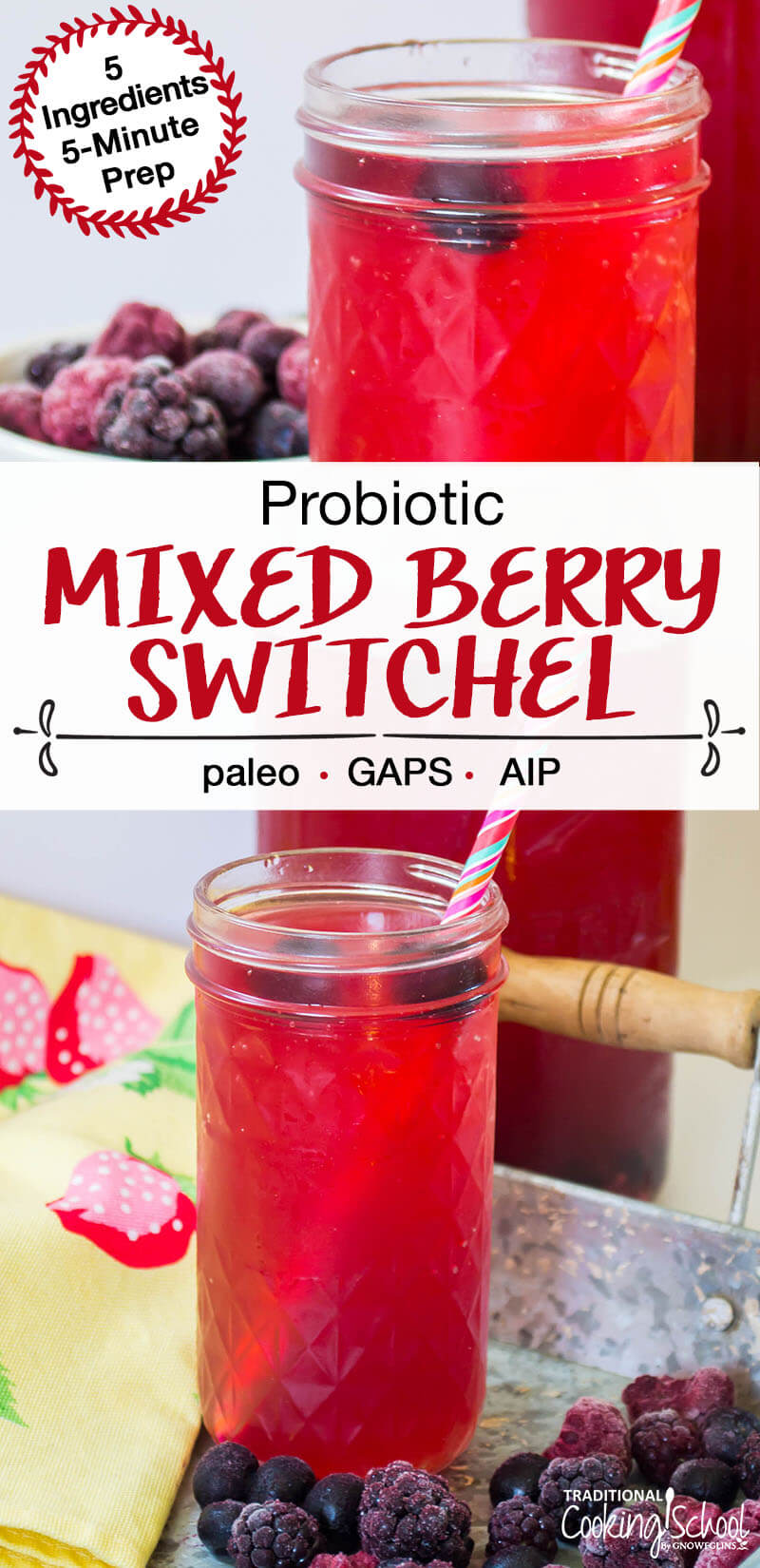 probiotic mixed berry switchel with text overlay