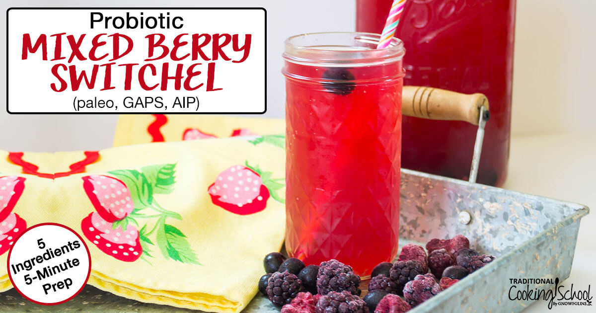 5-Minute Probiotic Mixed Berry Switchel {paleo, GAPS, AIP}
