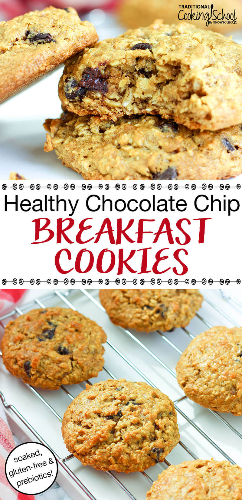 photo collage of oatmeal breakfast cookies, with text overlay: "Healthy Chocolate Chip Breakfast Cookies (soaked, gluten-free, prebiotics!)"