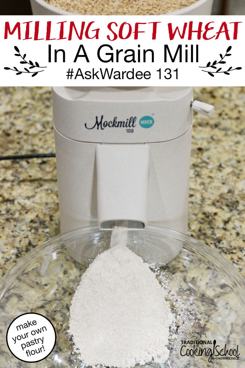 photo of Mockmill home grain mill grinding soft wheat berries into homemade pastry flour, for which there are so many uses, like muffins and cakes; with text overlay: "Milling Soft Wheat In A Grain Mill #AskWardee 131 (make your own pastry flour!)"