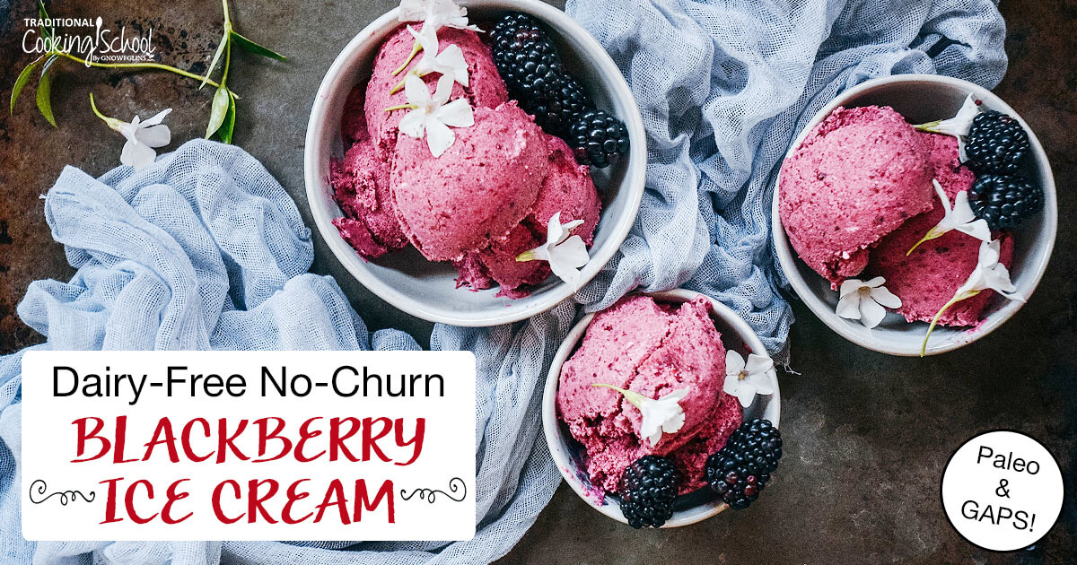 Dairy-Free No-Churn Blackberry Ice Cream (Paleo, GAPS)