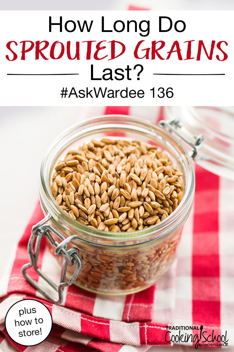 small pint-sized glass jar with a flip top lid full of grain berries on a white and red checkerboard cloth, with text overlay: "How Long Do Sprouted Grains Last? (plus how to store!) #AskWardee 136"