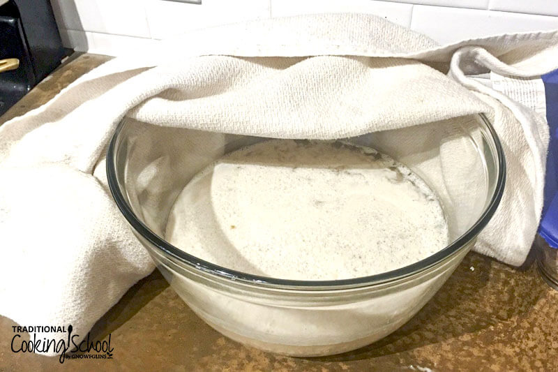 water, rolled oats, buckwheat groats, and raw apple cider vinegar combined in a glass bowl loosely covered with a white cloth that has been pulled back so we can see the mixture inside