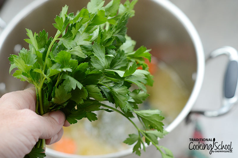 woman's hand holding a bunch of fresh cilantro in front of a pot of broth