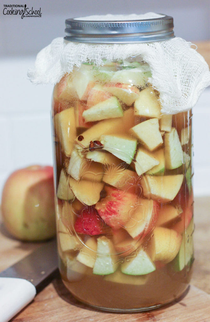 Homemade Raw Apple Cider Vinegar Recipe Easy Ferment