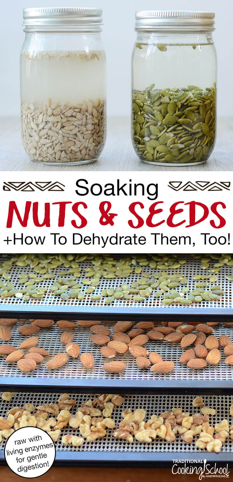 photo collage of sunflower and pumpkin seeds soaking in water, plus nuts and seeds on dehydrator trays, with text overlay: "Soaking Nuts & Seeds + How To Dehydrate Them, Too! (raw with living enzymes for gentle digestion)"