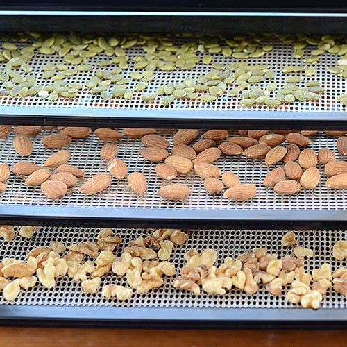 dehydrator trays of walnuts, almonds, and pumpkin seeds