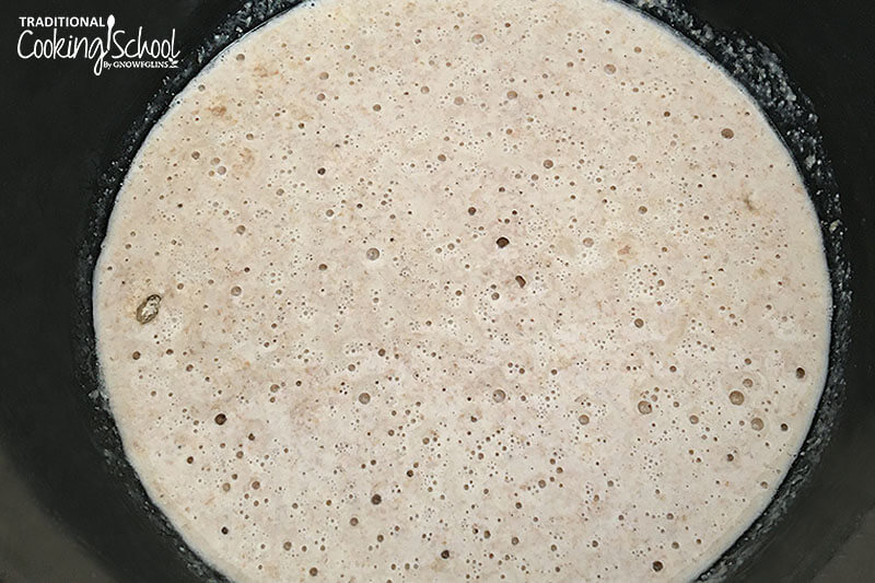 overhead shot of bubbly sourdough starter in a black bowl