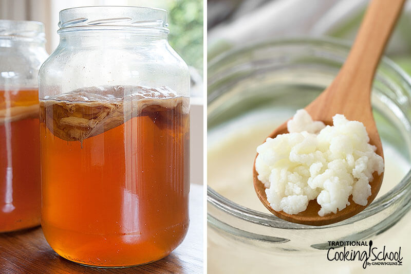 photo collage of Kombucha (left) and dairy kefir grains (right)