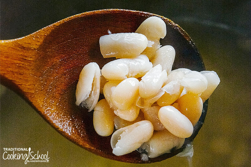 wooden spoon of soft, cooked white beans
