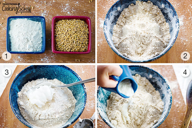 4 image collage of steps 1-4 for making sprouted spelt biscuits.