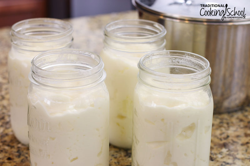 quart sized glass Mason jars of homemade yogurt, with the Instant Pot insert pot in the background