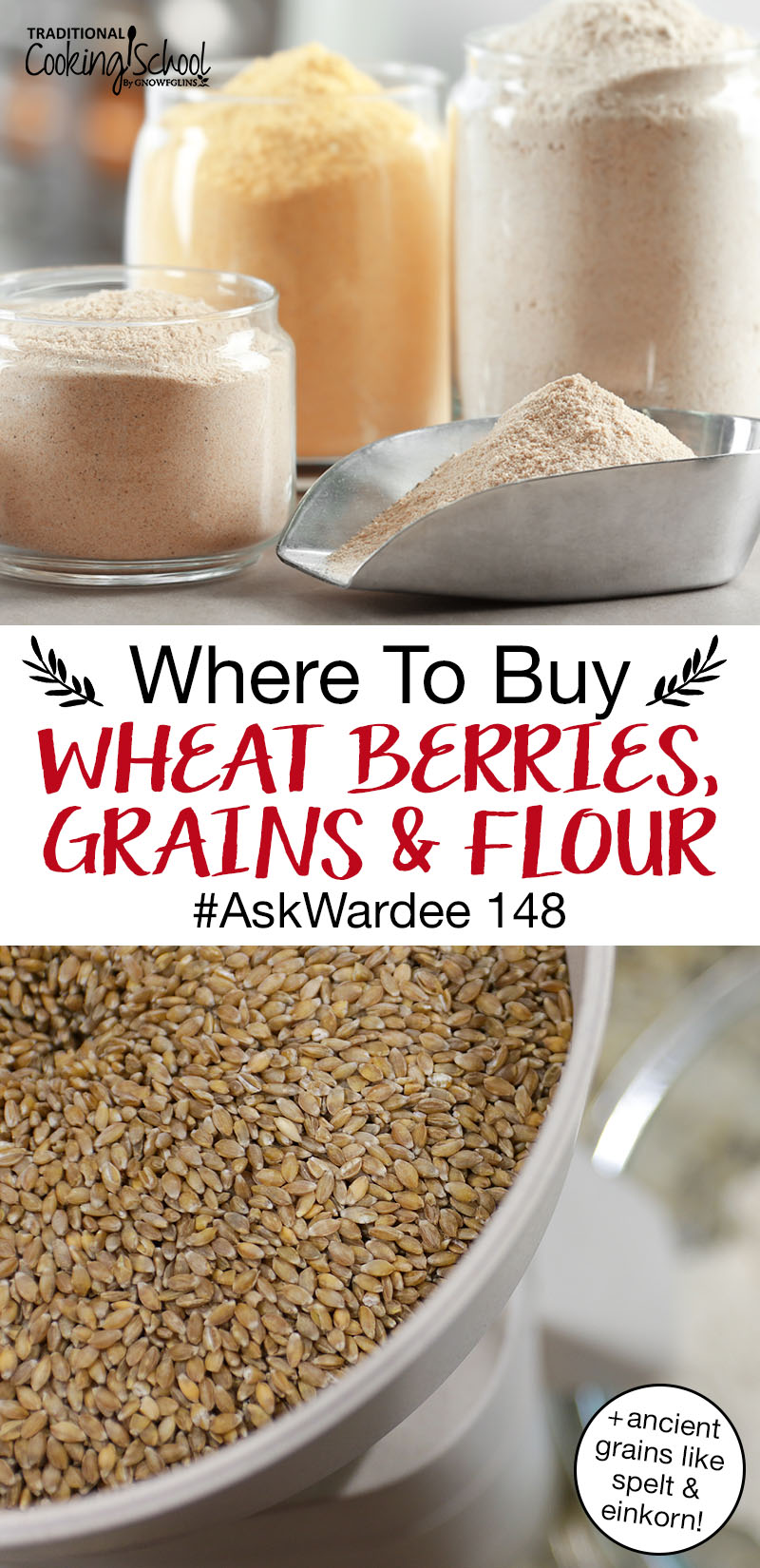photo collage of whole grain flour and berries, with text overlay: "Where To Buy Wheat Berries, Grains & Flour #AskWardee 148 (+ancient grains like spelt & einkorn!)"