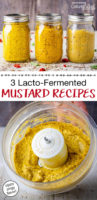 3 Zippy & Tangy Lacto-Fermented Mustard Recipes