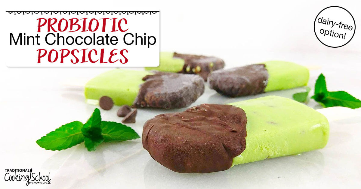 Probiotic Mint Chocolate Chip Popsicles (dairy-free option!)