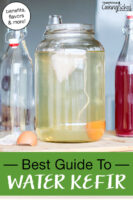 brewing water kefir in a glass gallon jar. Text overlay: "Best Guide to Water Kefir (benefits, flavors & more!)"