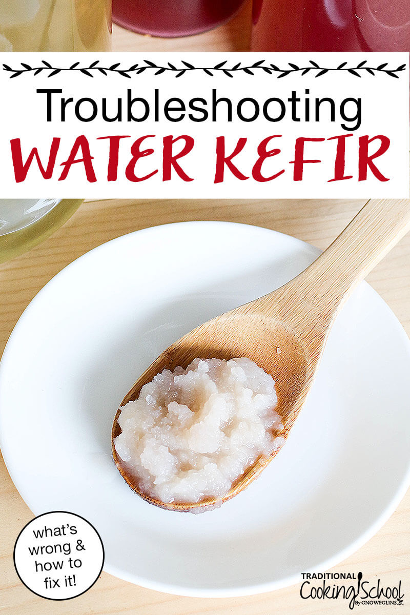 water kefir grains on a wooden spoon with text overlay: "Troubleshooting Water Kefir (what's wrong & how to fix it!)"
