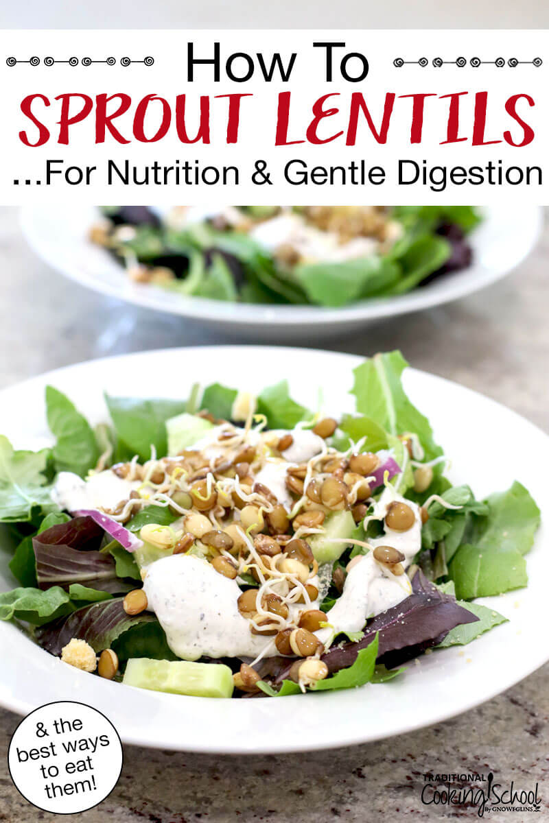 a fresh green salad topped with a handful of sprouted lentils. Text overlay says: "How To Sprout Lentils ...For Nutrition & Gentle Digestion (& the best ways to eat them!)"