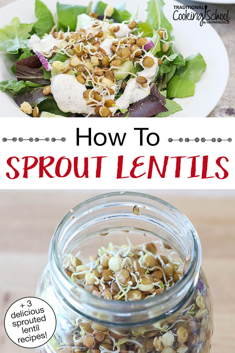 photo collage of a half-gallon glass jar filled with sprouted lentils, and a fresh green salad topped with a handful of sprouted lentils. Text overlay says: "How To Sprout Lentils (+3 delicious sprouted lentil recipes!)"