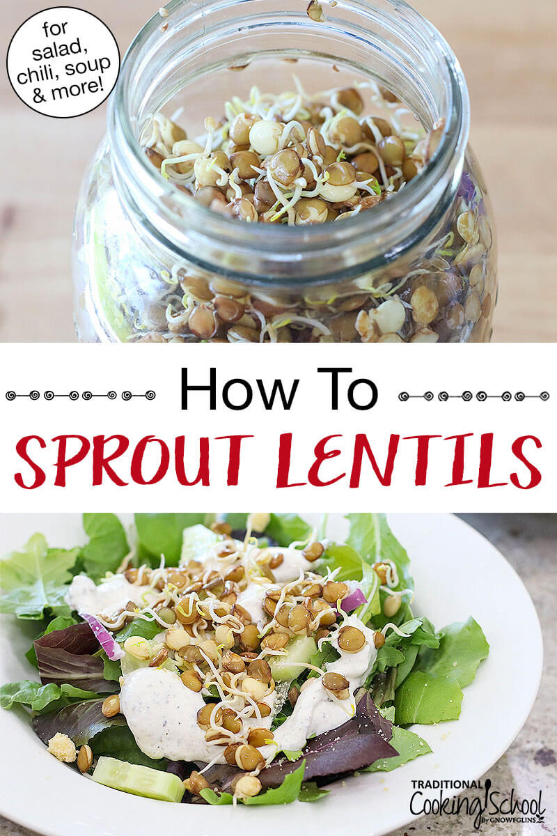 photo collage of a half-gallon glass jar filled with sprouted lentils, and a fresh green salad topped with a handful of sprouted lentils. Text overlay says: "How To Sprout Lentils (for salad, chili, soup & more!)"