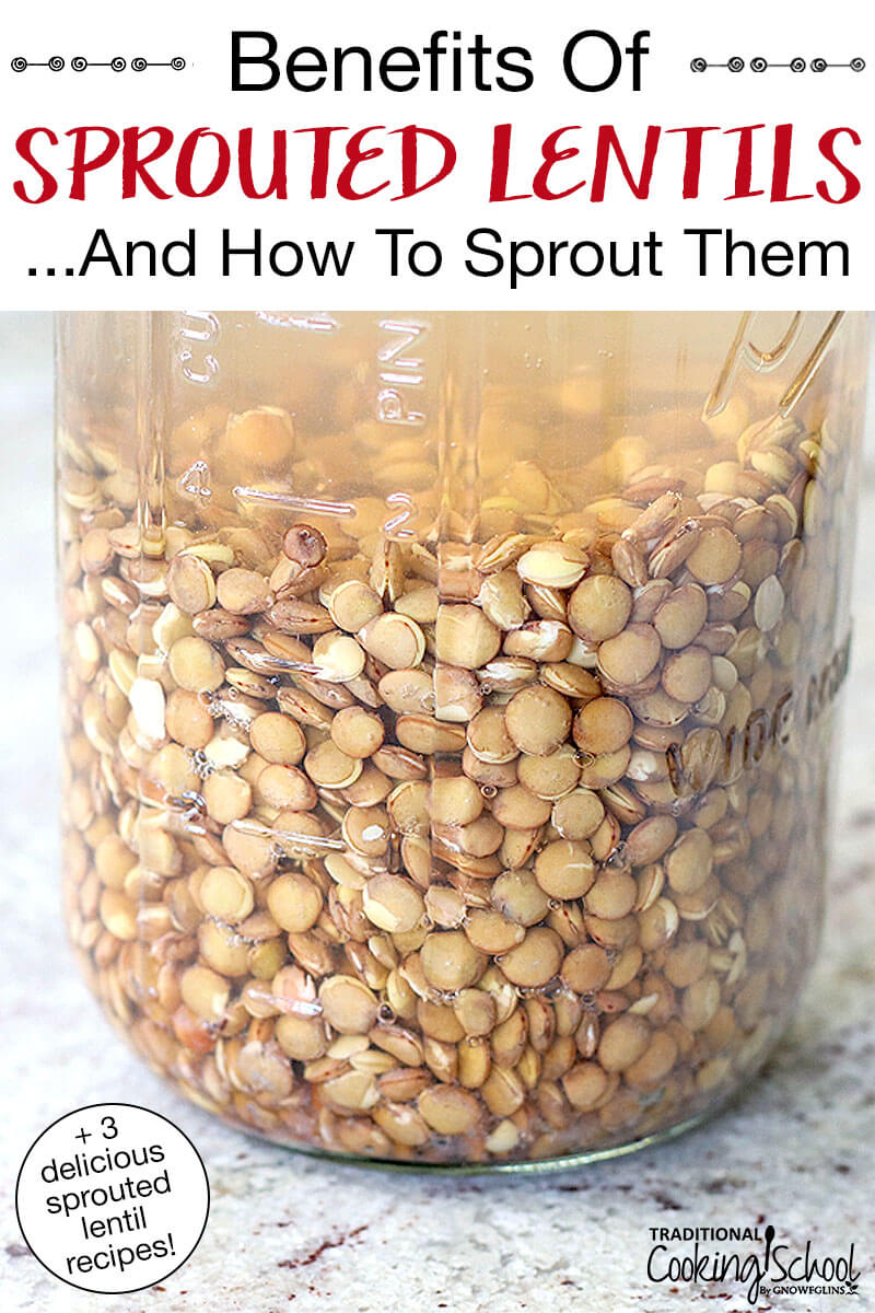 half gallon glass jar filled with whole lentils that are soaking in water. Text overlay says: "Benefits Of Sprouted Lentils...And How To Sprout Them (+3 delicious sprouted lentil recipes!)"