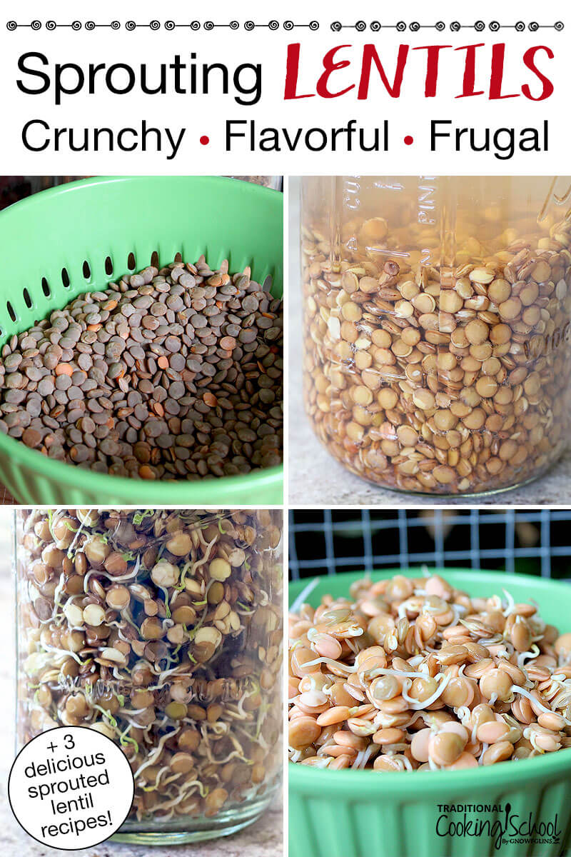 photo collage of the process of sprouting lentils, whether in a bowl and colander or in a glass jar. Text overlay says: "Sprouting Lentils: Crunchy, Flavorful, Frugal (+3 delicious sprouted lentil recipes!)"