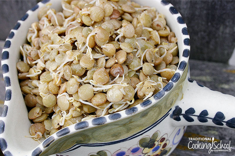 decorative ceramic bowl of sprouted lentils that have been seasoned and drizzled with dressing
