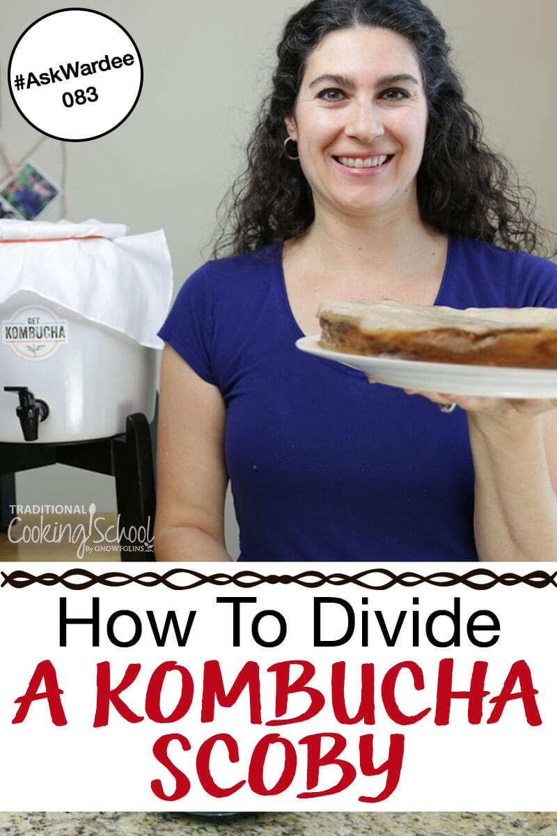 smiling woman holding up a large SCOBY on a plate. Text overlay says: "How To Divide A Kombucha SCOBY #AskWardee 083"