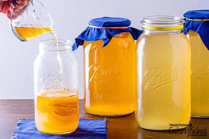 pouring golden-colored Kombucha over a stack of SCOBYS in a half gallon glass jar, with more jars of Kombucha brewing in the background