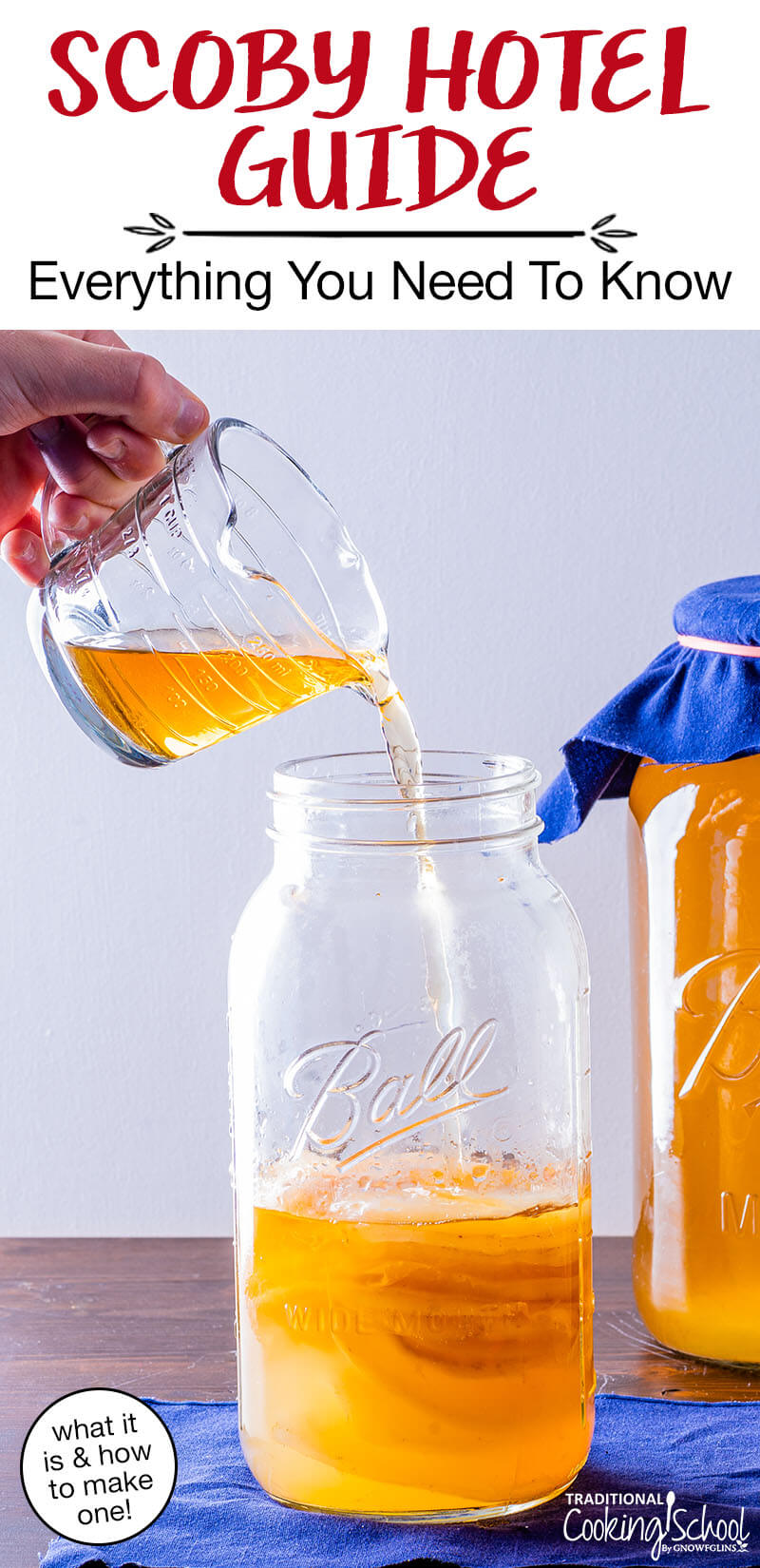 pouring finished Kombucha over SCOBYS suspended in a 1/2 gallon jar. Text overlay says: "SCOBY Hotel Guide: Everything You Need To Know (what it is & how to make one!)"