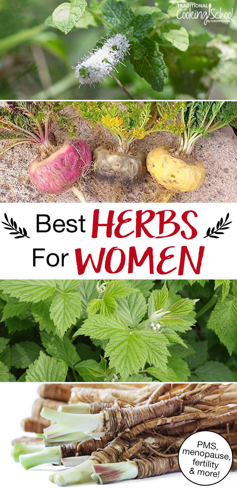 Photo collage of herbs, including maca root, red raspberry leaf, dong quai, and black cohosh. Text overlay says: "Best Herbs For Women (PMS, menopause, fertility & more!)"