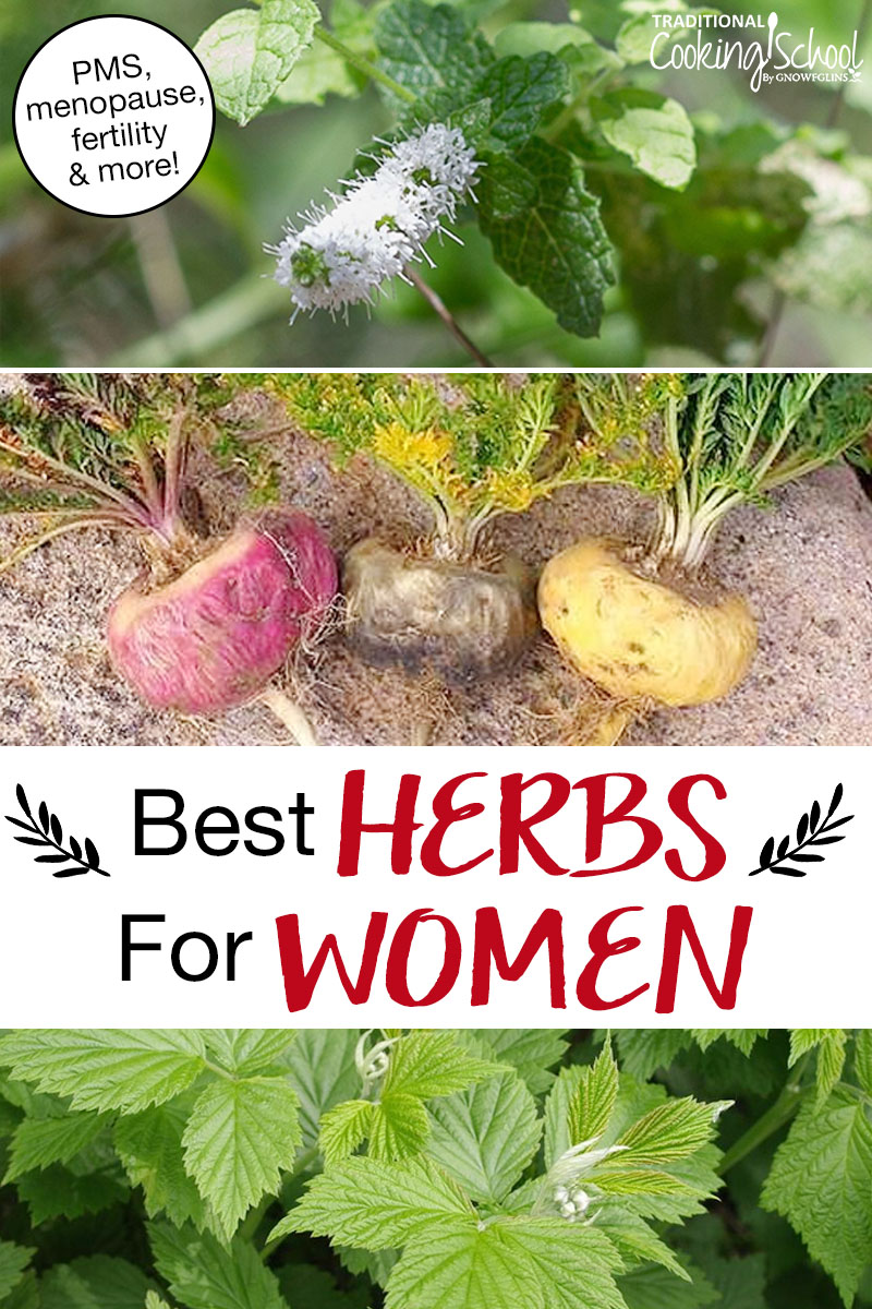 Photo collage of herbs, including maca root and red raspberry leaf. Text overlay says: "Best Herbs For Women (PMS, menopause, fertility & more!)"