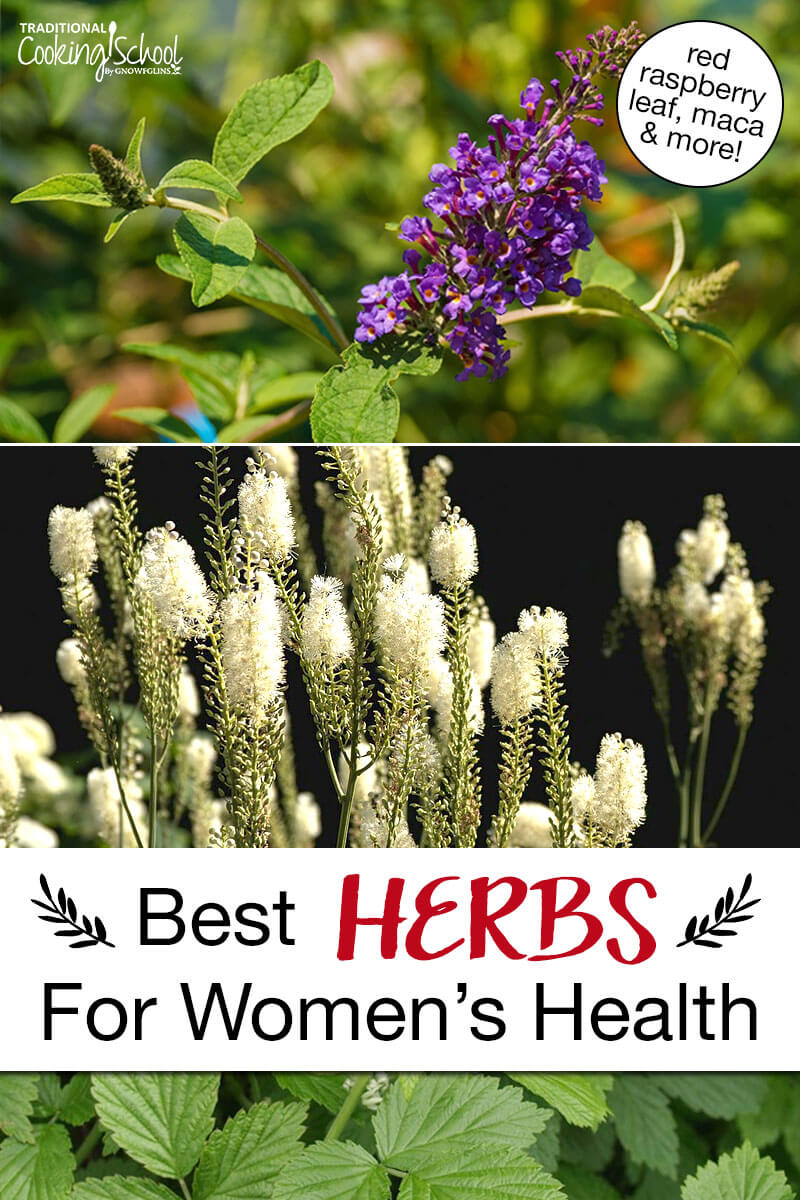 Photo collage of herbs, including red raspberry leaf and vitex. Text overlay says: "Best Herbs For Women's Health (red raspberry leaf, maca & more!)"