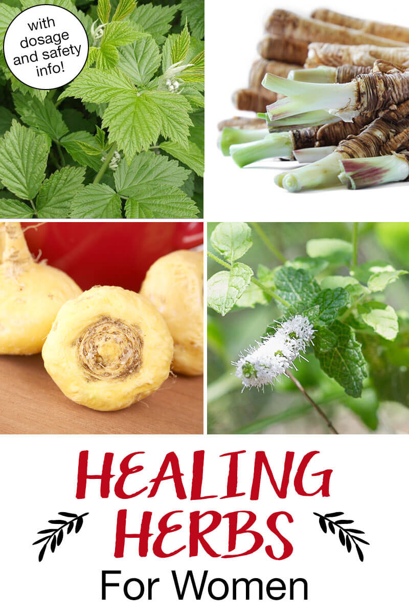 Photo collage of herbs, including maca root, red raspberry leaf, and dong quai. Text overlay says: "Healing Herbs For Women (with dosage and safety info!)"