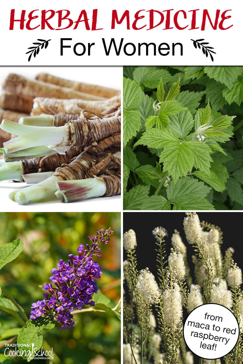 Photo collage of herbs, including dong quai, red raspberry leaf, and vitex. Text overlay says: "Herbal Medicine For Women (from maca to red raspberry leaf!)"