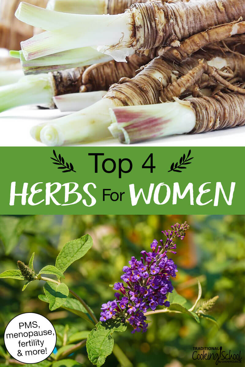 Photo collage of herbs, including dong quai and vitex. Text overlay says: "Top 4 Herbs For Women (PMS, menopause, fertility & more!)"