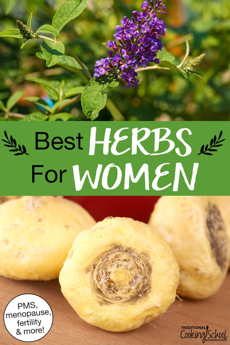 Photo collage of herbs, including maca root and vitex. Text overlay says: "Best Herbs For Women (PMS, menopause, fertility & more!)"