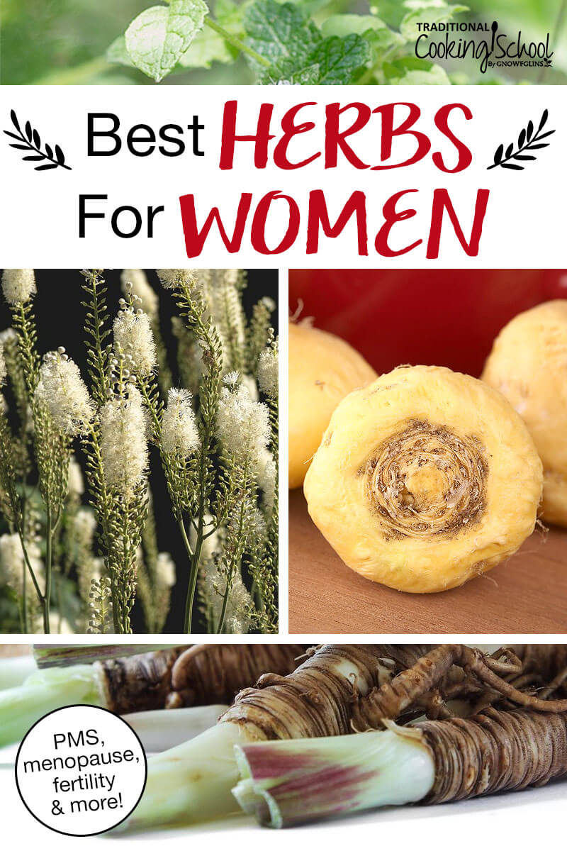 Photo collage of herbs, including maca root, black cohosh, and dong quai. Text overlay says: "Best Herbs For Women (PMS, menopause, fertility & more!)"
