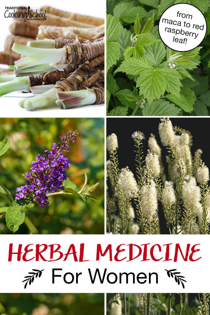 Photo collage of herbs, including black cohosh, red raspberry leaf, and vitex. Text overlay says: "Herbal Medicine For Women (from maca to red raspberry leaf!)"