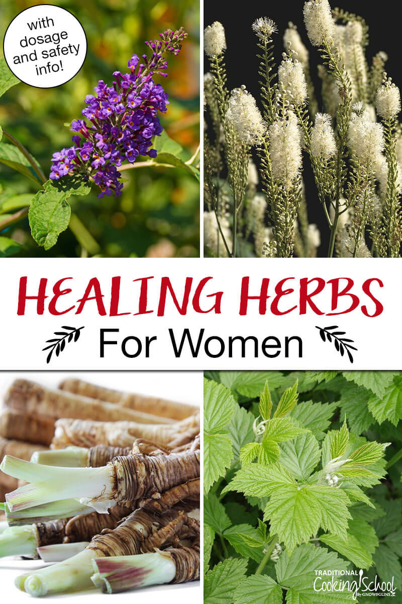 Photo collage of herbs, including black cohosh, red raspberry leaf, and vitex. Text overlay says: "Healing Herbs For Women (with dosage and safety info!)"