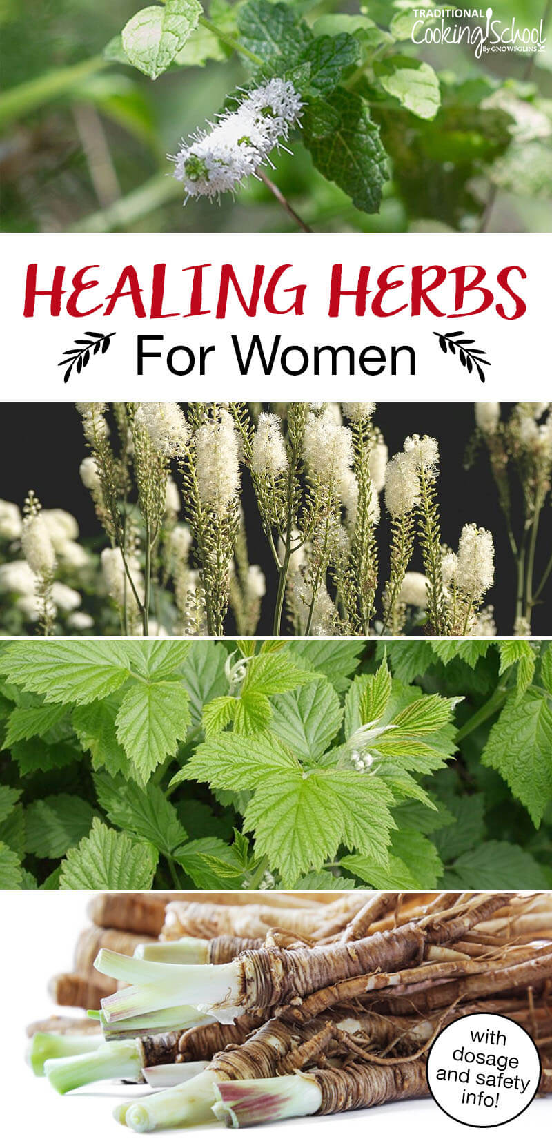Photo collage of herbs, including black cohosh, red raspberry leaf, and dong quai. Text overlay says: "Healing Herbs For Women (with dosage and safety info!)"