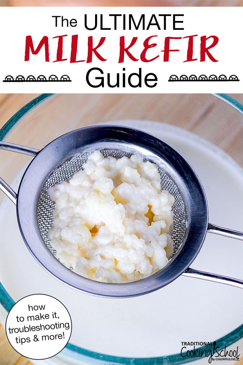 Kefir grains in a stainless steel strainer over a bowl of milk. Text overlay says: "The ULTIMATE Milk Kefir Guide (how to make it, troubleshooting tips & more!)"