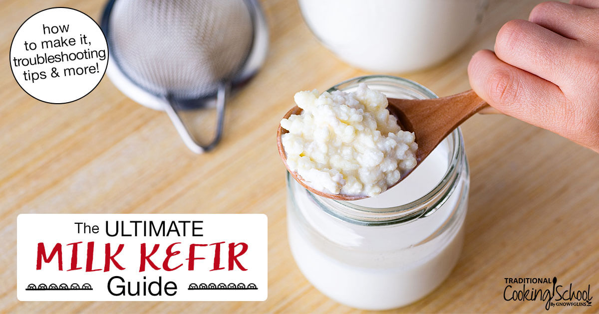 ULTIMATE Milk Kefir Guide (how to make it, troubleshooting tips & more!)