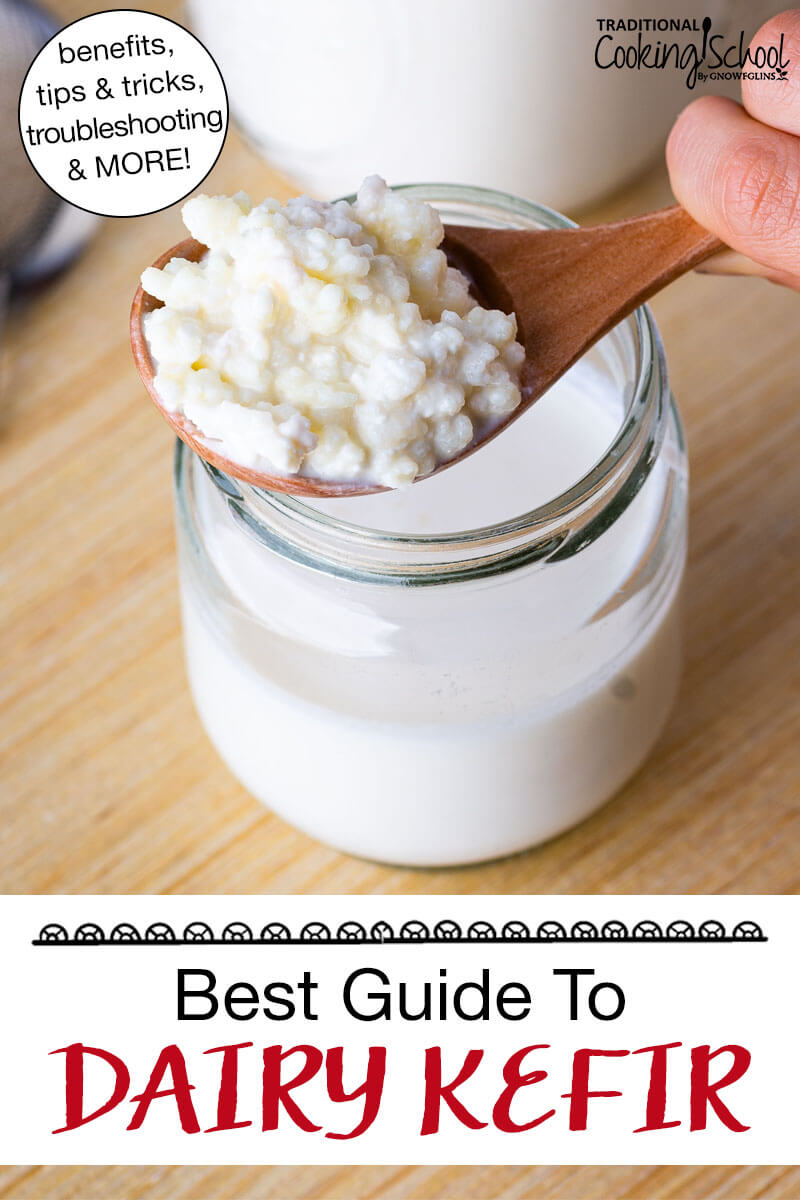 Kefir grains in a wooden spoon above a jar of milk. Text overlay says: "Best Guide To Dairy Kefir (benefits, tips & tricks, troubleshooting & more!)"