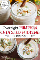 photo collage chia seed pudding in 1/2 pint jars, topped with a cinnamon stick, sprinkle of cinnamon, shredded coconut, and pumpkin seeds. Text overlay says: "Overnight Pumpkin Chia Seed Pudding Recipe (rich in fiber & omega-3s!)"