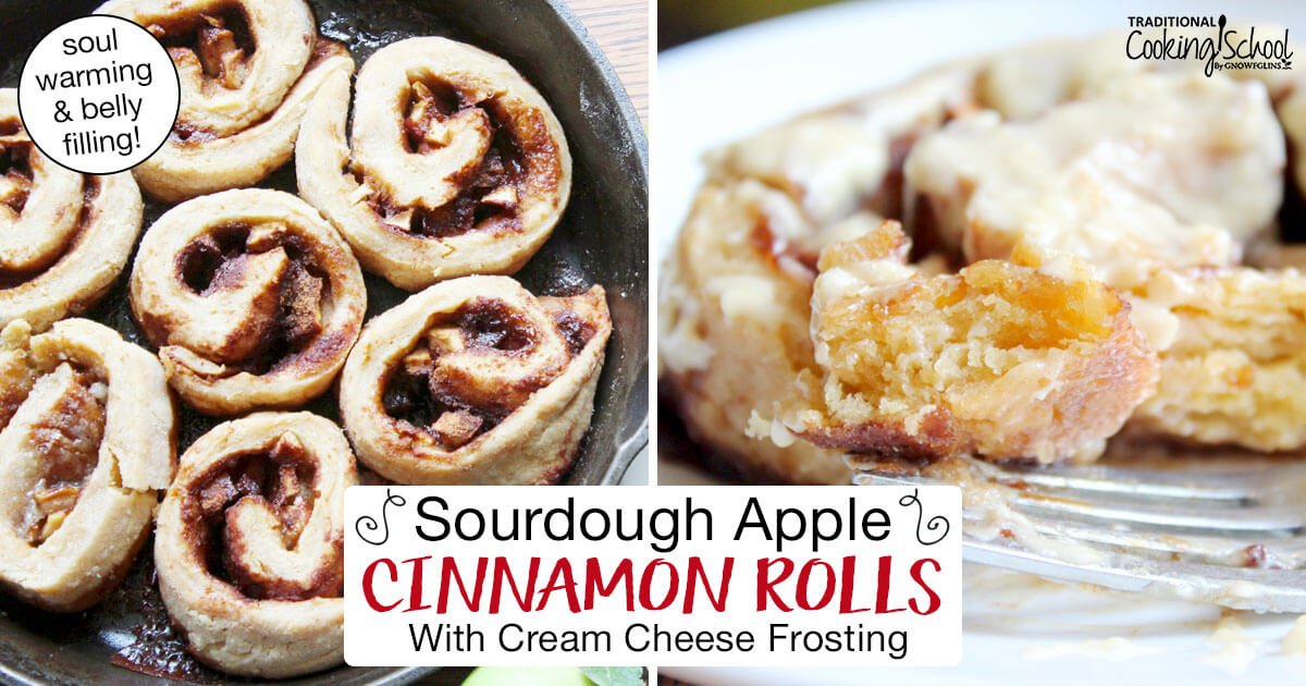 Sourdough Apple Cinnamon Rolls With Cream Cheese Frosting