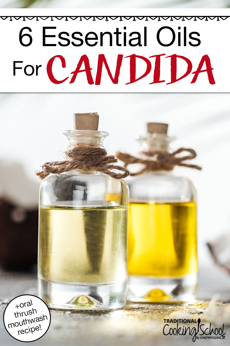 Two small decorative bottles filled with oil in different shades of gold. Text overlay says: "6 Essential Oils For Candida (+ oral thrush mouthwash recipe!)"
